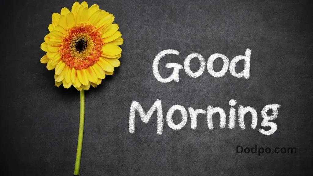 Cute Good Morning Quotes for Him