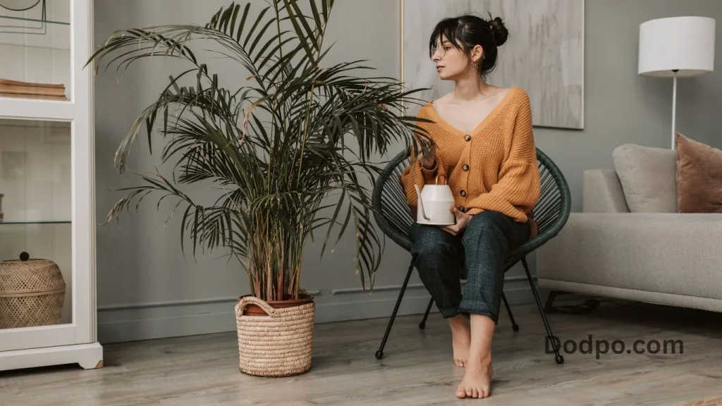 Cardigans combined with camisoles and high-waisted bottom garments