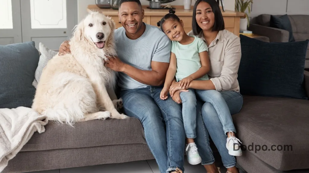 Holiday Pet Portraits