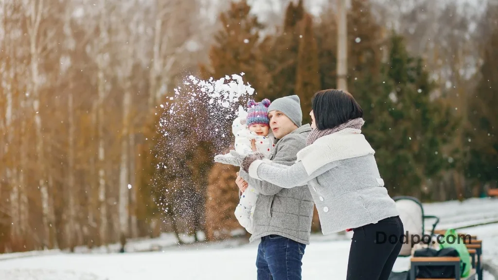 Soft Gray and Winter White Palette