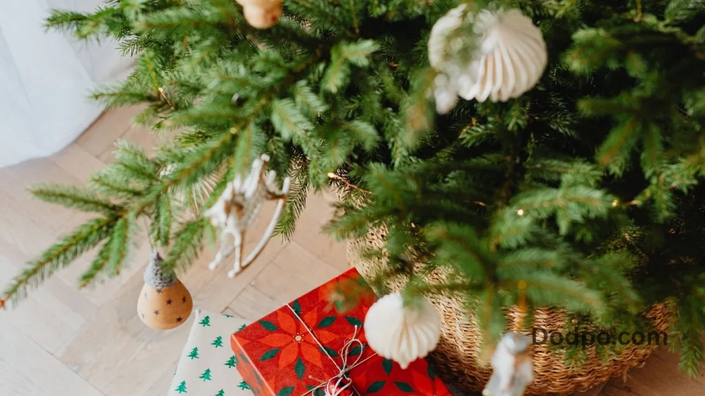 Velvet Ribbon Accents