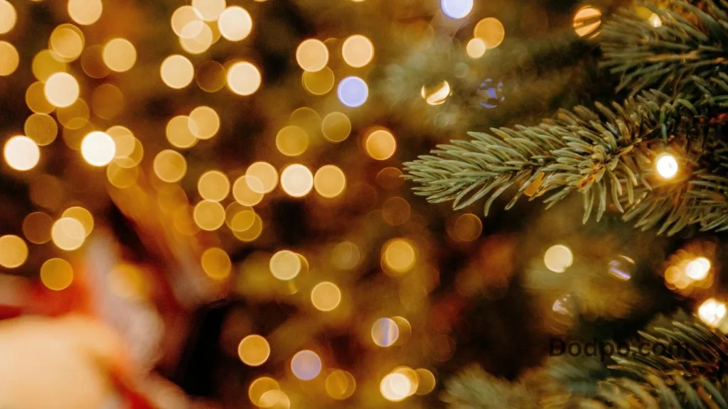 Warm White Light for a Soft, Cozy Glow