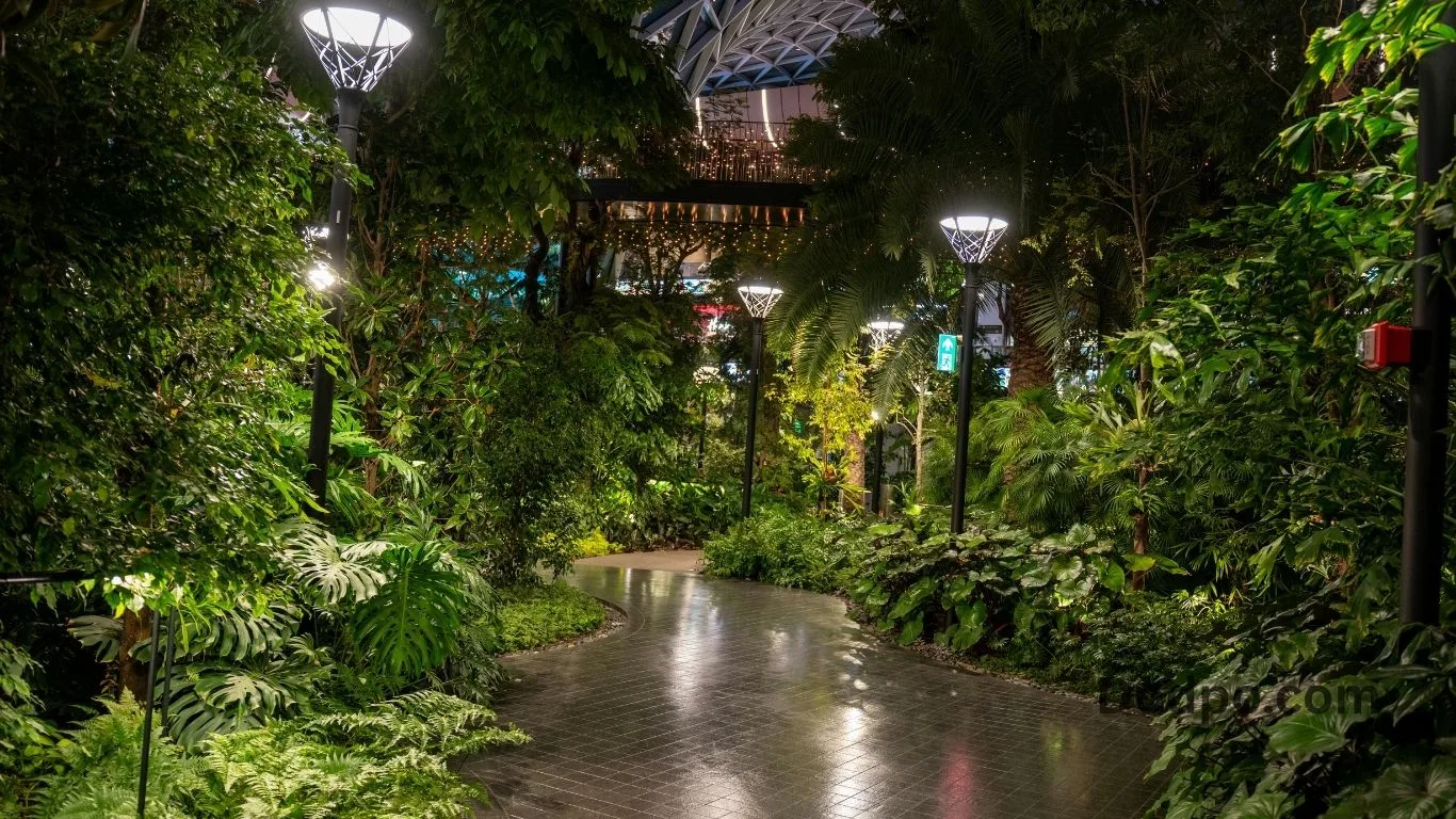 Botanical Garden Date