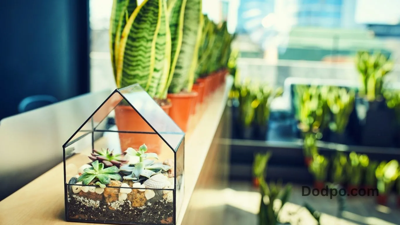 Build a Winter Reading Nest