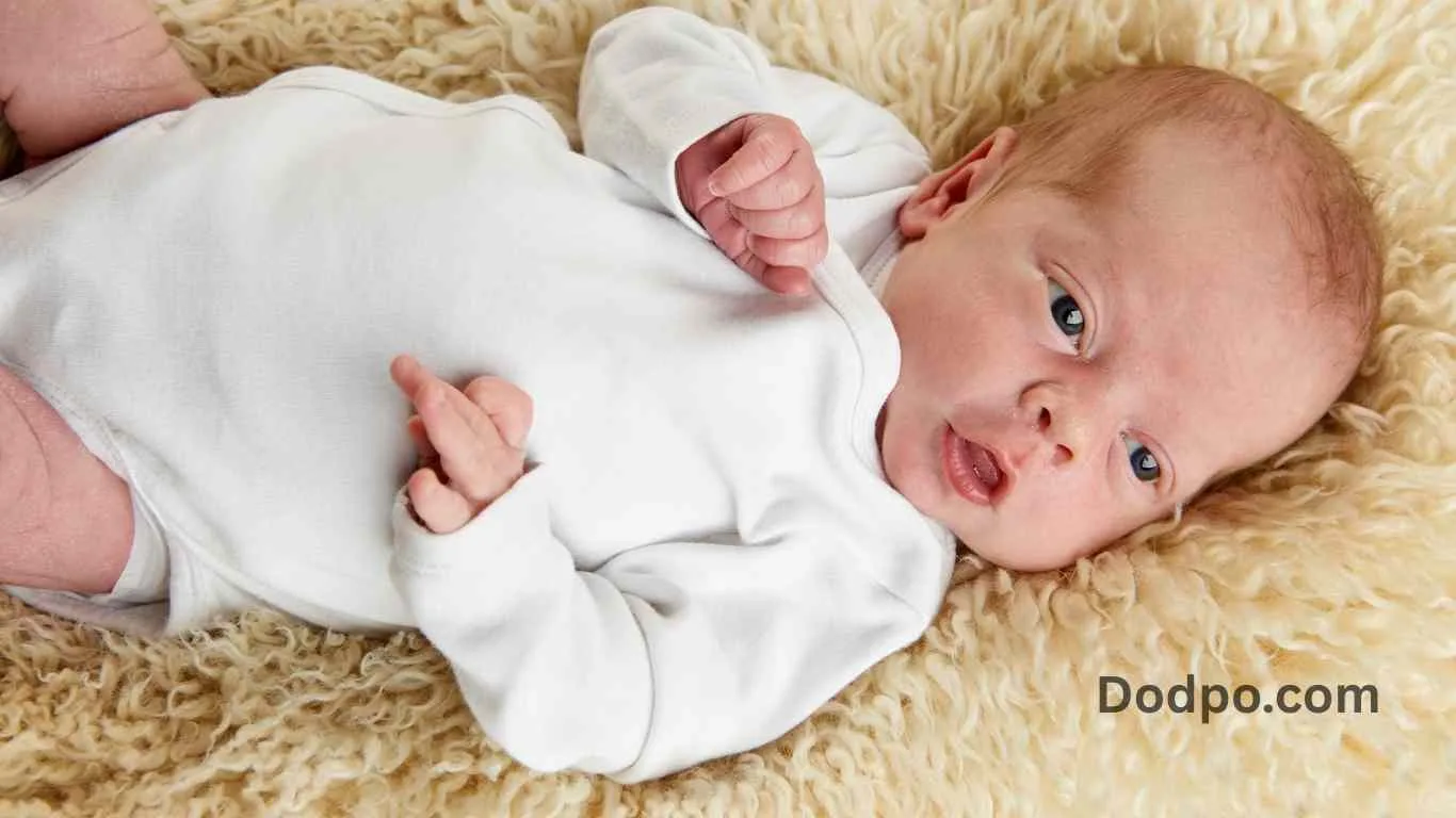 Purchase a bodystocking