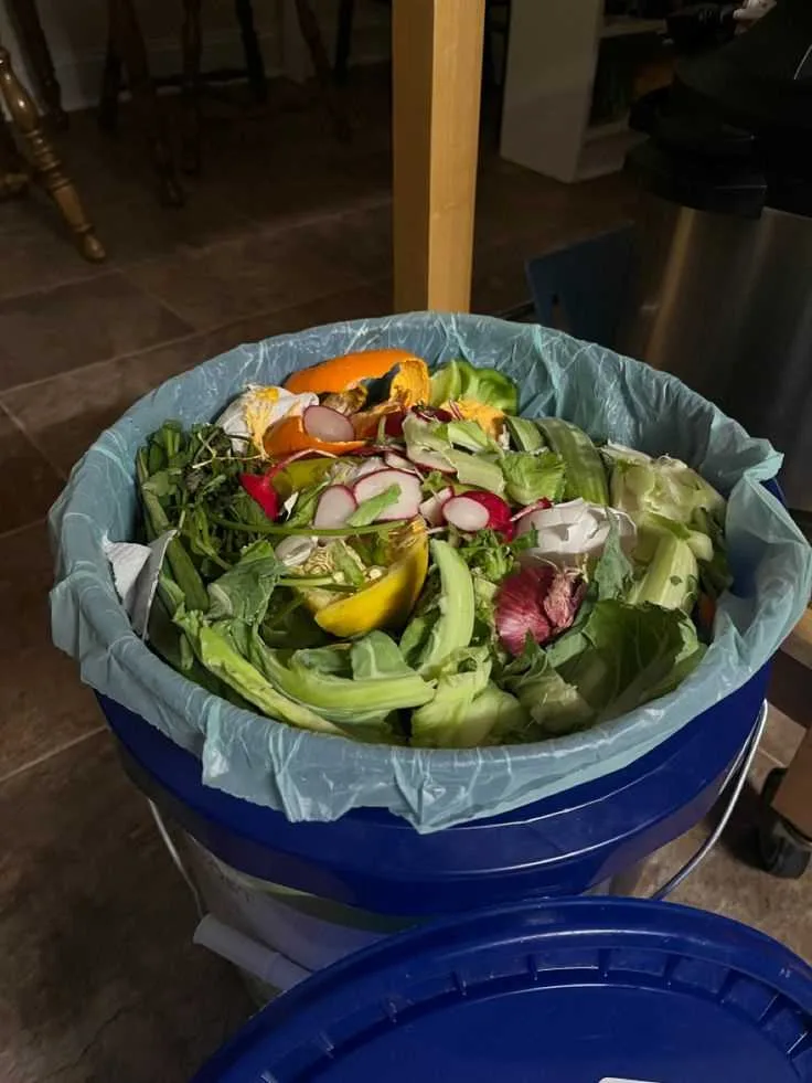 Zero-Waste-Apartment-Hacks-for-Beginners