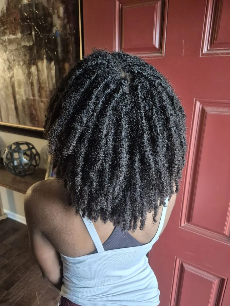 Freshly-washed-no-retwist-no-small-fluffty-locs