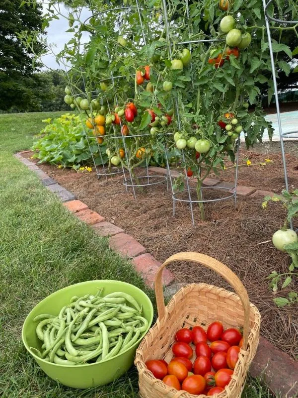 How-to-celebrate-mother's-day-without-money