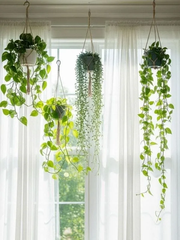 How-to-make-your-home-feel-airy-and-fresh
