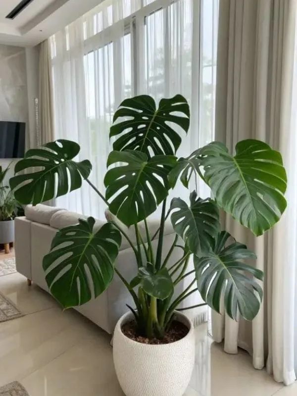 Spring-home-refresh-ideas-on-a-budget