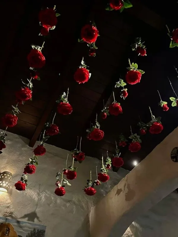 Bachelorette