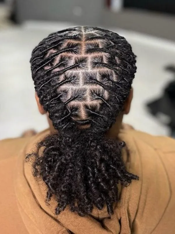 Locs