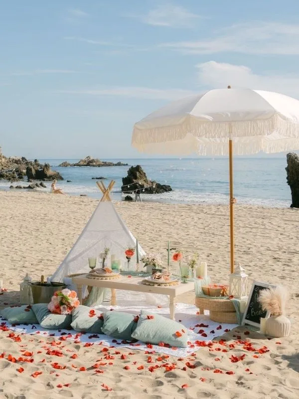 Picnic 