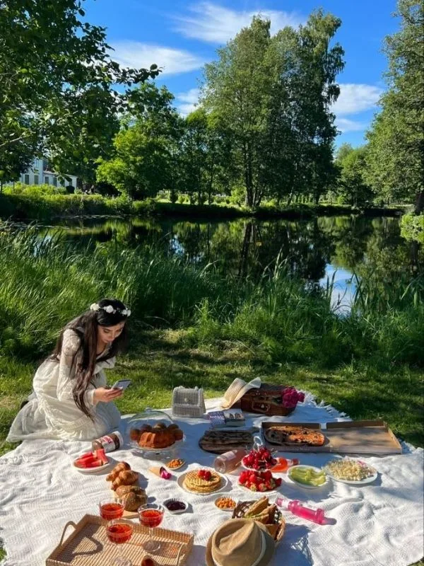 Picnic 