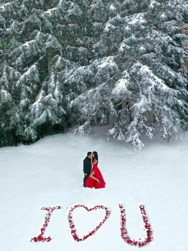 Proposal