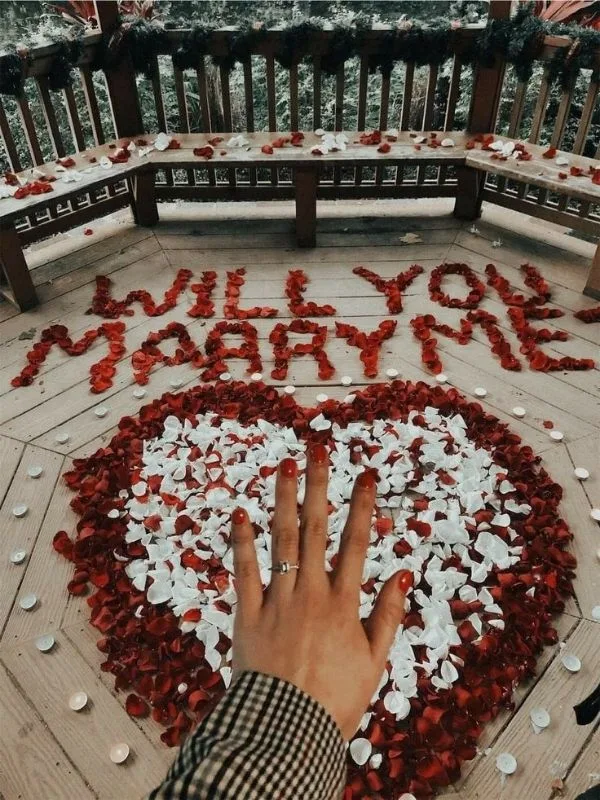 Proposal