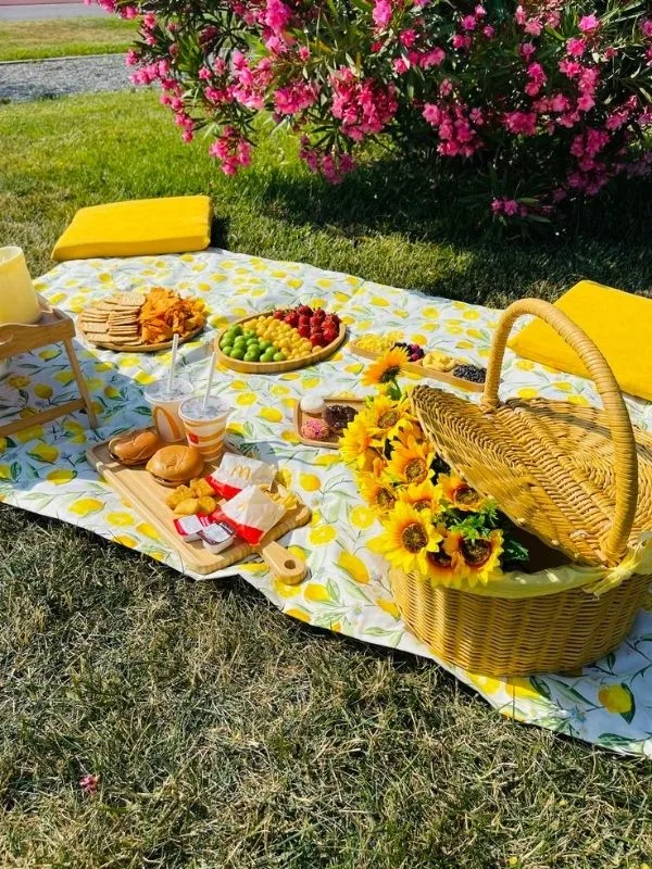 Romantic-Picnic-Date-Ideas-for-Couples