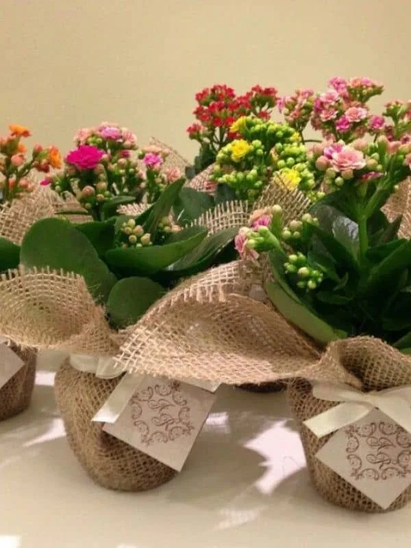 Sustainable-Father’s-Day-Gift-Wrapping-Ideas