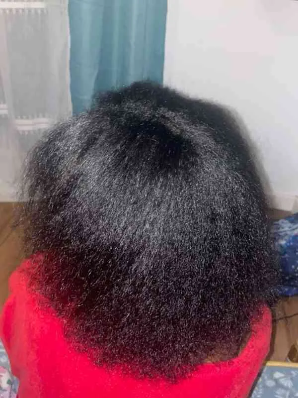 How-to-Start-Sisterlocks-on-Natural-Hair